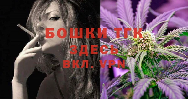 индика Покровск